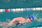 Swimming vs Babson  Wheaton College Swimming & Diving vs Babson College. - Photo By: KEITH NORDSTROM : Wheaton, Swimming